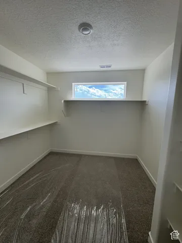Carpeted room featuring built-in shelving, a horizontal window, and a ceiling-mounted light fixture