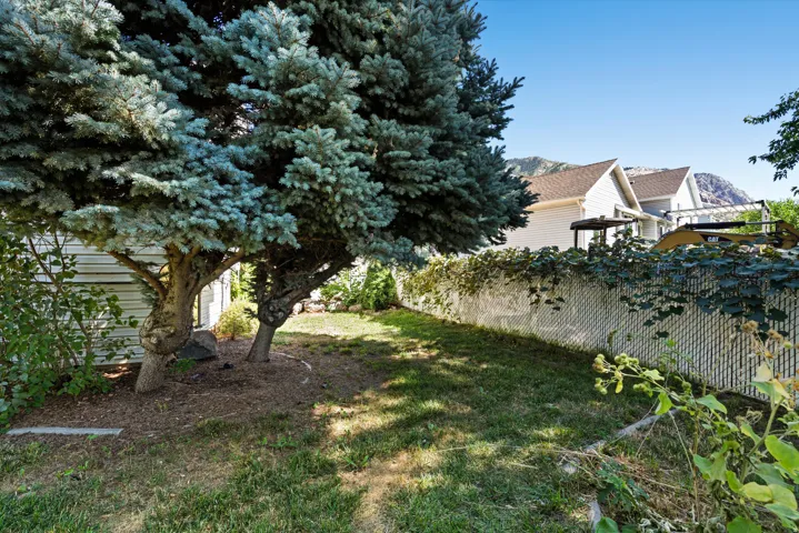 Manicured lawn with mature evergreen trees, chain-link fencing, and distant mountain scenery
