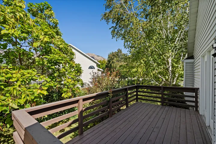 Wood-finish deck with railing, surrounded by mature trees