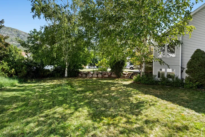 Expansive grassy yard with mature trees and a stone retaining wall