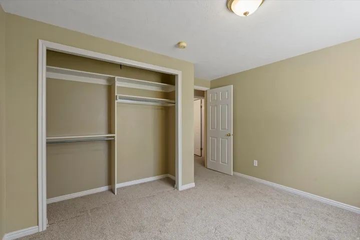 Wall-to-wall carpeting, overhead ceiling light fixture, paneled door, and built-in closet shelving with hanging rods