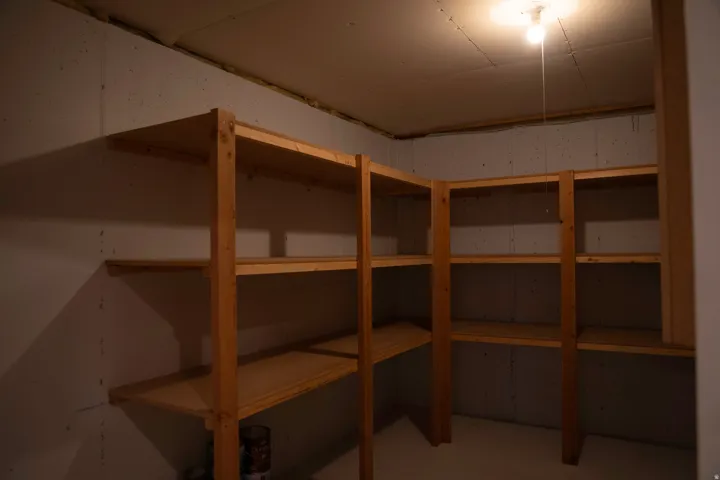 Utility space with built-in wood shelving and a ceiling-mounted light fixture