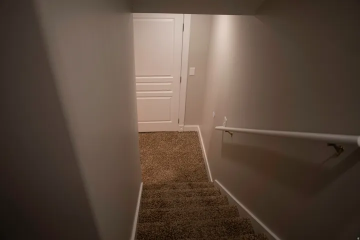 Carpeted staircase to basement with a white handrail and light gray walls