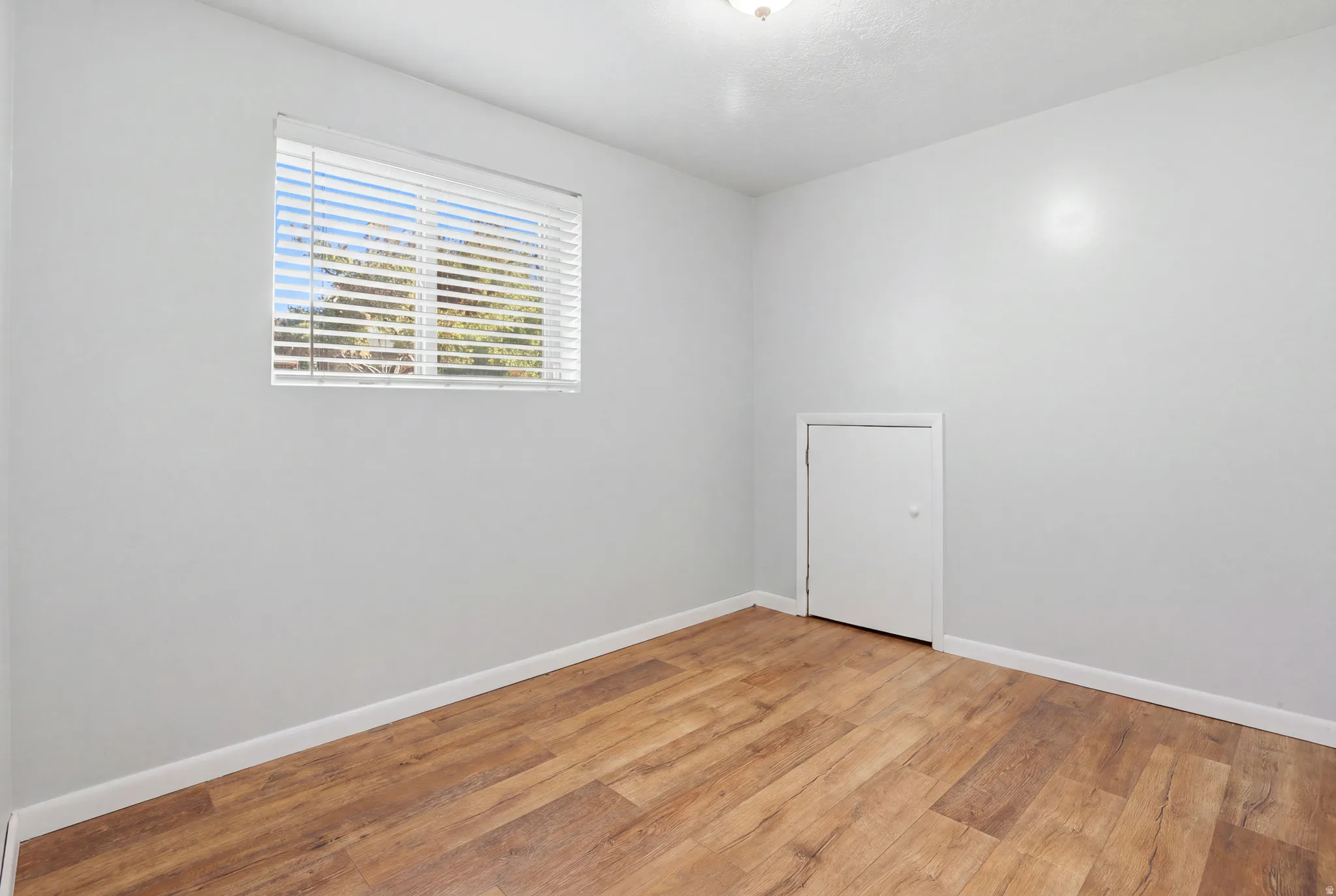 Wood-finish flooring with white baseboards, a single window with blinds, a white door, and a flush mount ceiling light