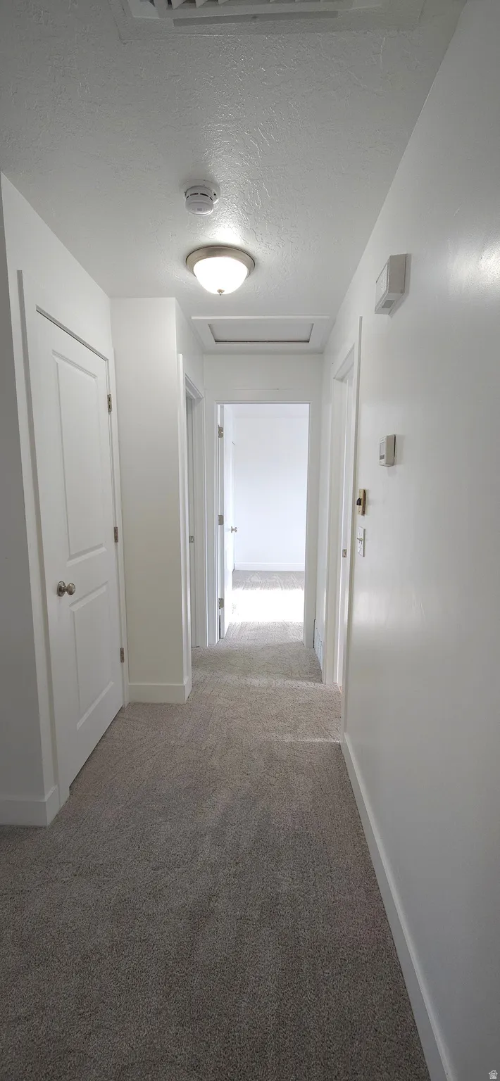 Carpeted hallway with white walls and trim, featuring a flush-mount ceiling light and multiple paneled doors