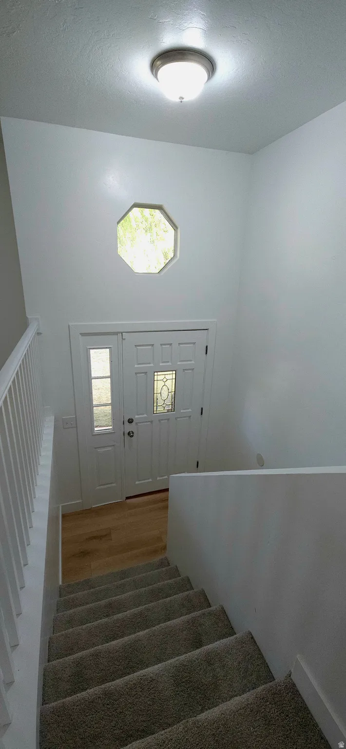 Entryway featuring a decorative transom window, white paneled door with leaded glass insert, wood-finish flooring, and a carpeted staircase