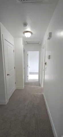 Carpeted hallway with white walls and trim, featuring a flush-mount ceiling light and multiple paneled doors
