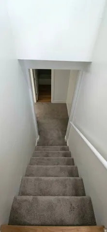 Carpeted staircase with a white handrail, leading to a carpeted hallway with a doorway revealing wood-finish flooring