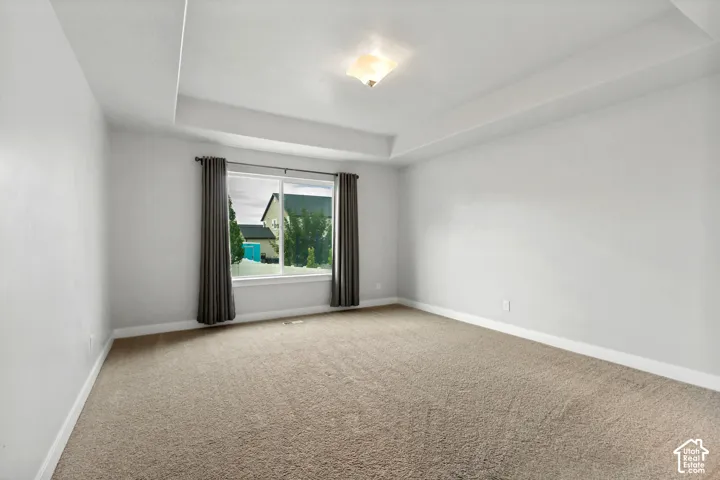 Recessed tray ceiling with a central light fixture, neutral carpet flooring, and a large window