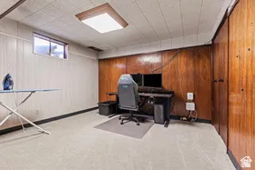 Light-colored carpeting with dark baseboard, paneling, and an overhead light fixture