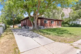 Brick exterior with a mature shade tree, a concrete driveway, and a front lawn