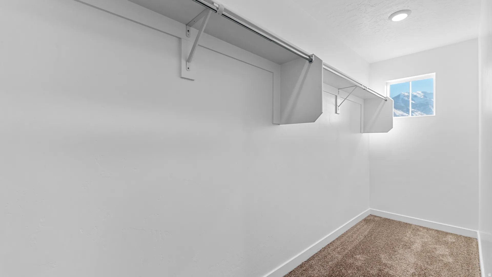 Walk-in closet with carpet flooring, built-in shelving, and a recessed ceiling light