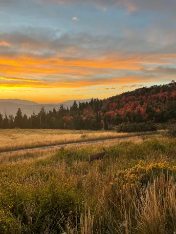 Expansive natural landscape featuring rolling hills and distant mountains
