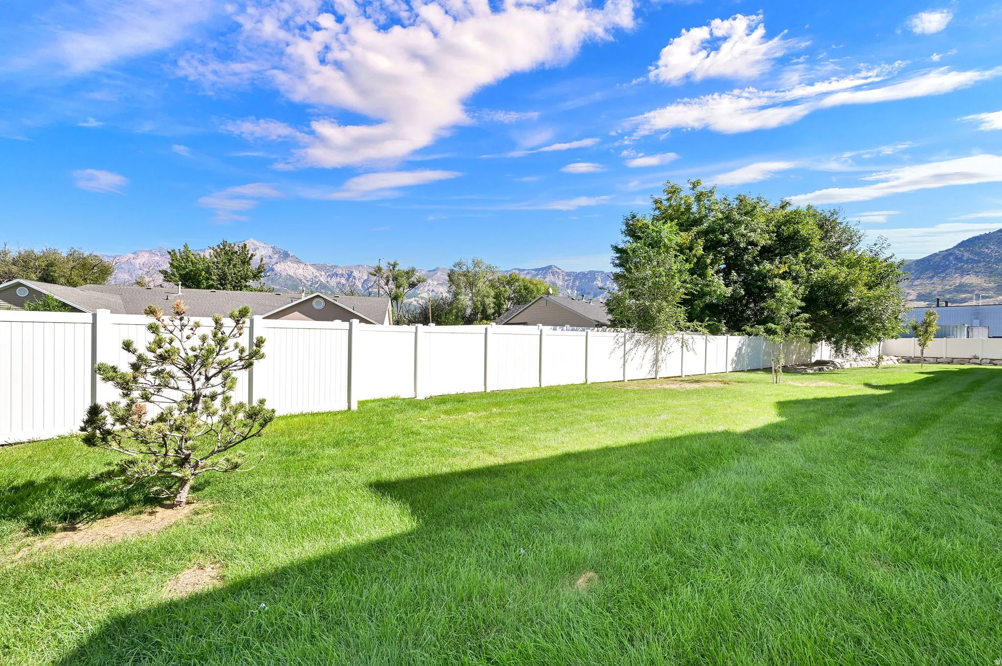 Expansive lawn area with a white privacy fence and established trees