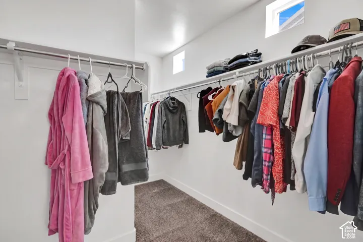 Large Walk-in closet featuring built ins, shelves, white walls, recessed windows, wall-mounted hanging rods, and a carpeted floor