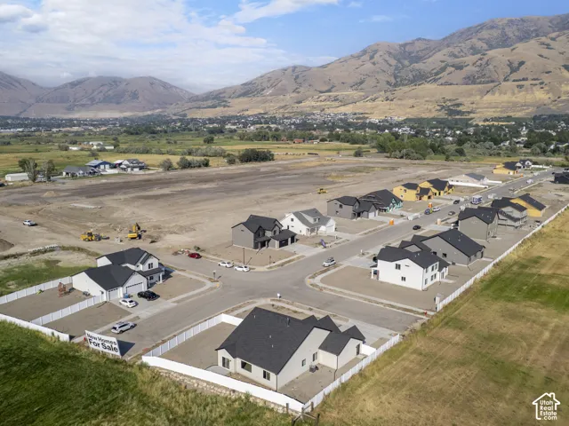 Aerial view of the community
