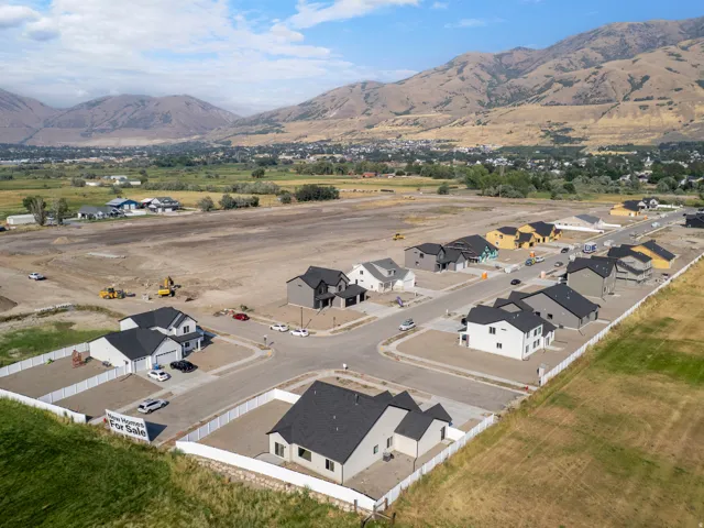 Aerial view of the community