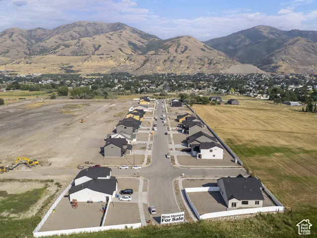 Aerial view of the community