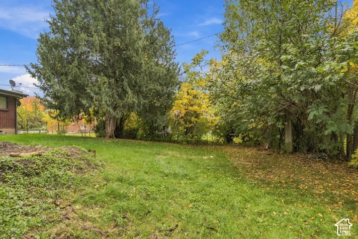 Expansive backyard featuring mature trees, established greenery, and a brick exterior element