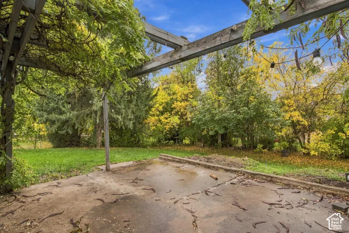 Concrete patio featuring a timber pergola and perimeter landscaping with mature trees