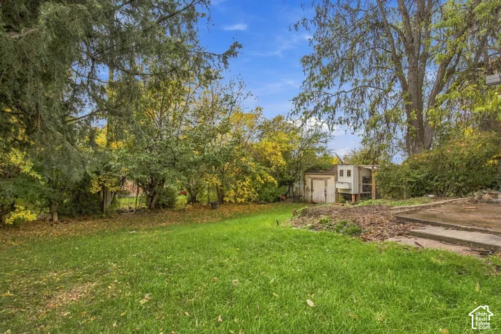 Expansive backyard featuring a grass lawn, mature trees, concrete hardscaping, and a detached structure