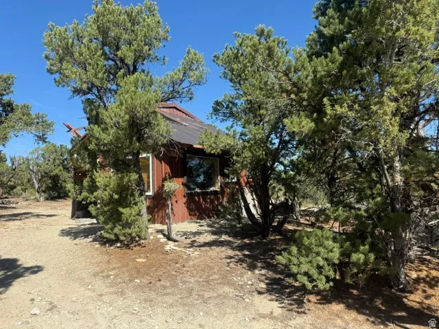 Wood-sided exterior with a dark metal roof, multiple windows, and natural tree landscaping