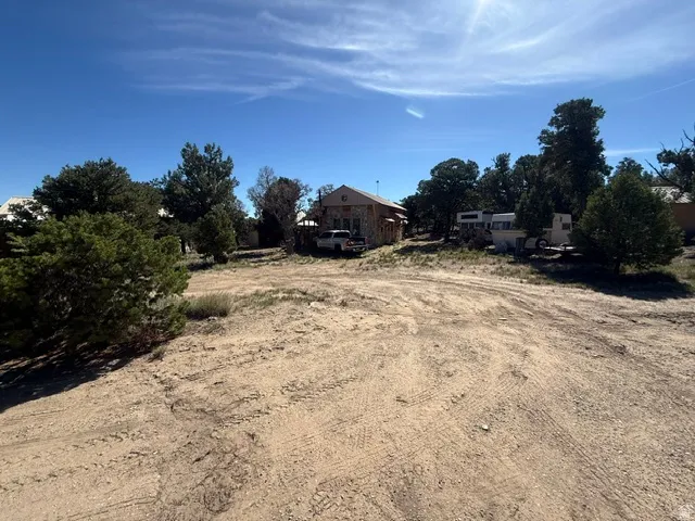 Stone-clad exterior, surrounding mature trees, and expansive unimproved land