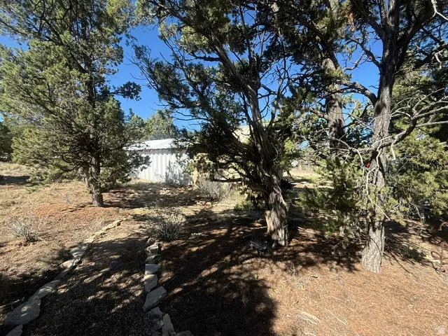 Established landscaping with mature trees and a stone-lined border