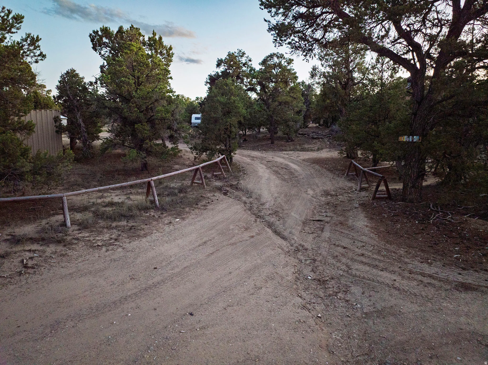 Expansive natural landscape with mature trees and a wide dirt road