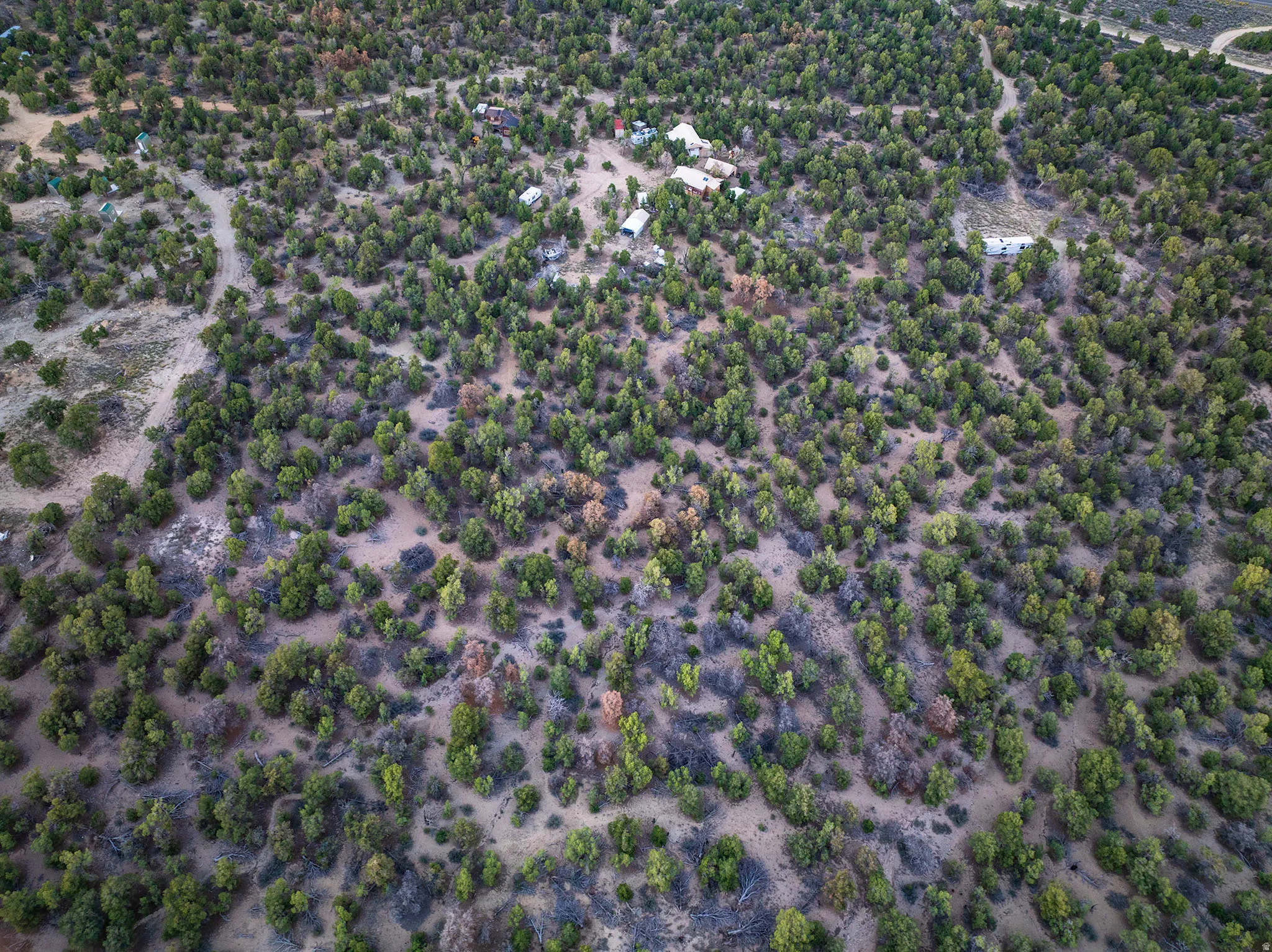Expansive natural landscape with varied foliage and multiple structures