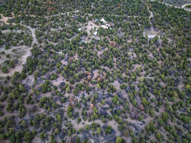 Expansive natural landscape with varied foliage and multiple structures
