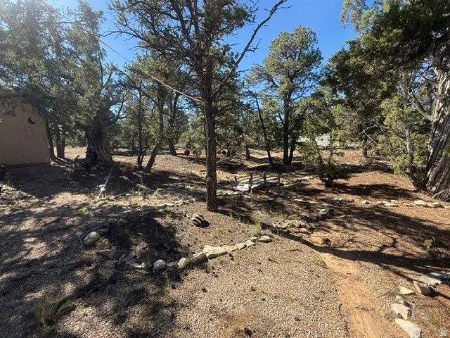 Wooded lot with mature trees and a small footbridge