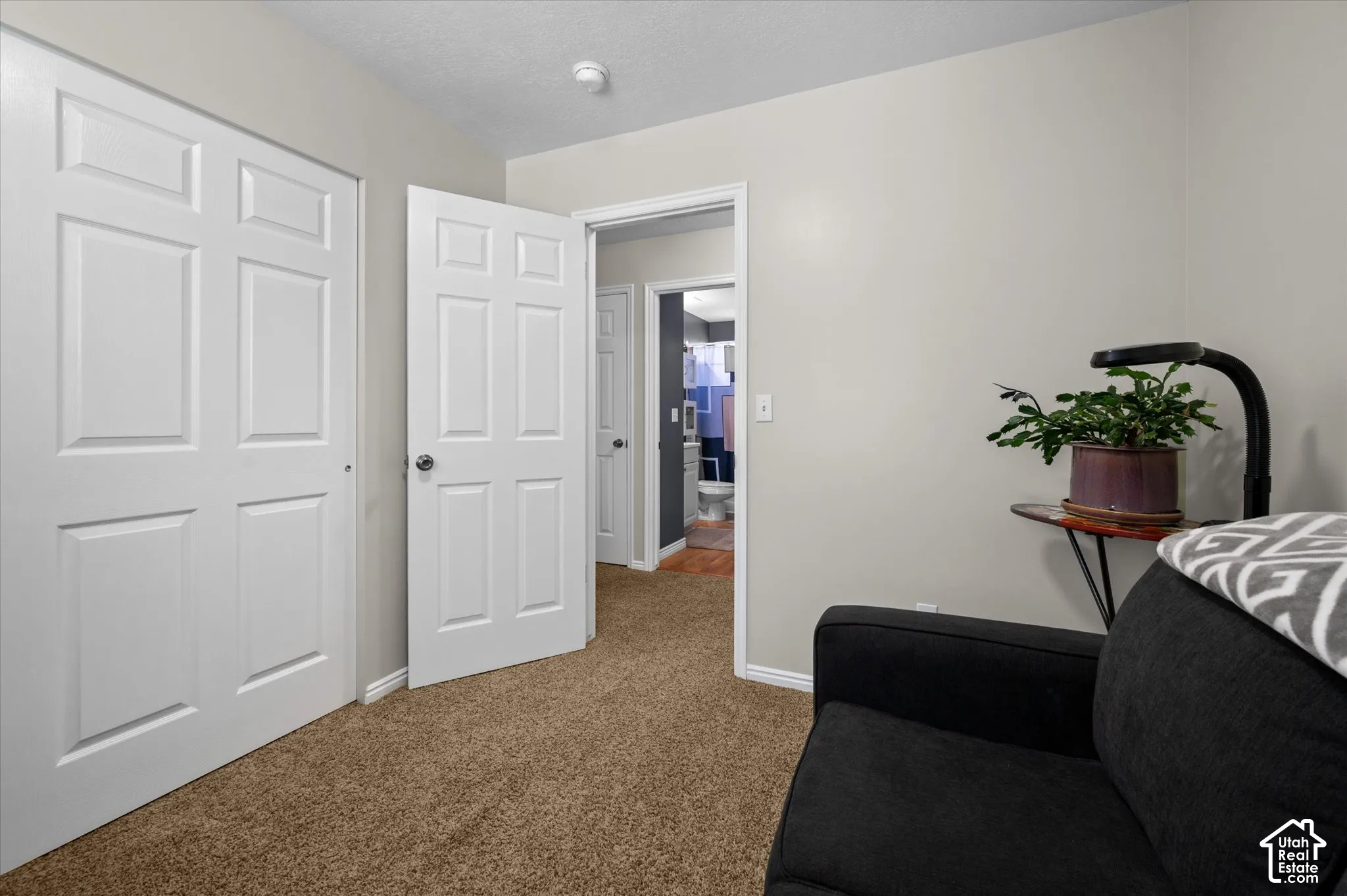 Warm neutral-toned carpeting with a light gray wall finish