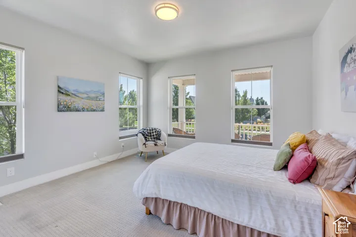 Carpeted bedroom with a flush-mount ceiling light and multiple windows