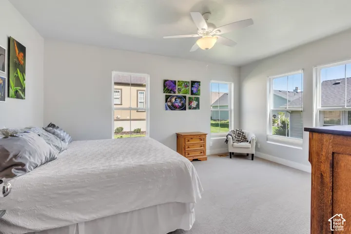 Spacious room featuring multiple windows, neutral tone carpet, and a ceiling fan with integrated lighting