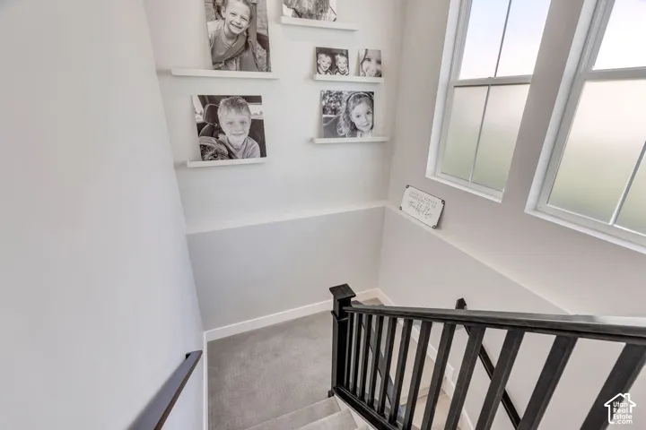 Staircase featuring dark wood banister, carpeted treads, and two large windows providing natural light