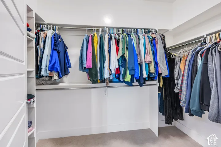 Built-in shelving, hanging rods, and carpeted flooring