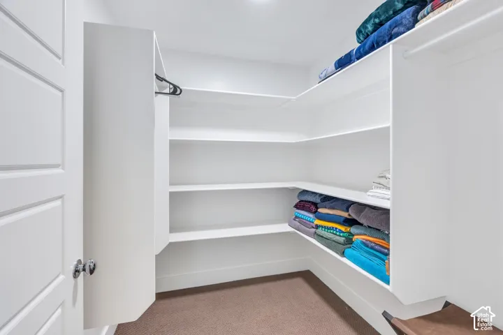 Walk-in closet featuring white built-in shelving, carpet flooring, and a single ceiling light fixture