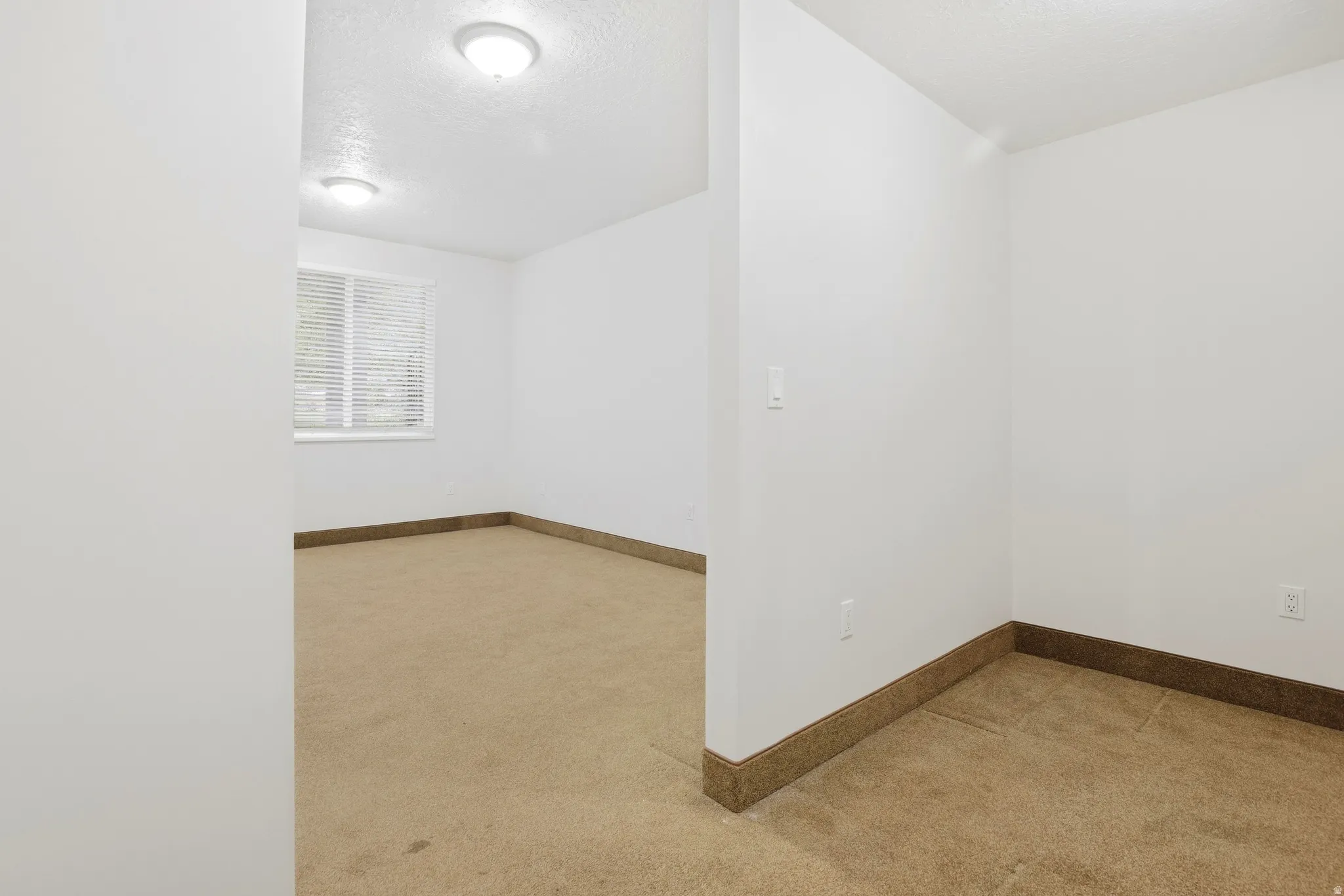 Light-colored carpeting with contrasting base molding, recessed window with horizontal blinds, and flush-mount ceiling lighting