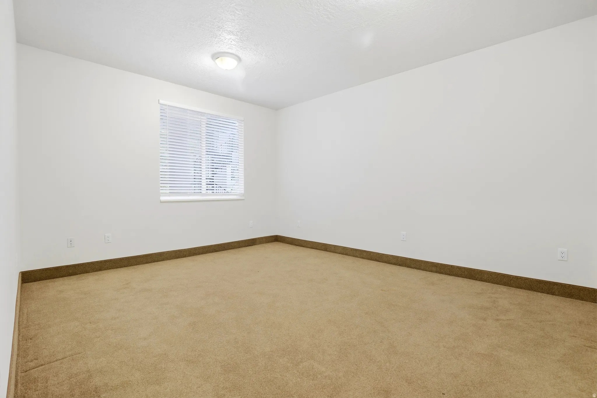 Neutral tone wall paint, carpeted flooring, window with horizontal blinds, and a flush-mount ceiling light fixture