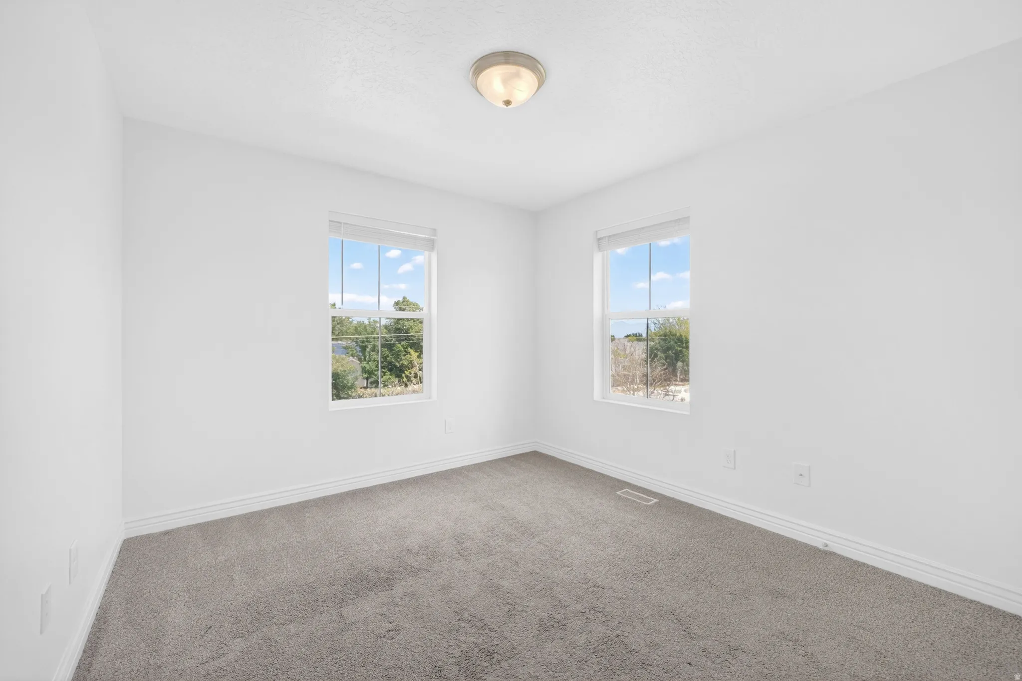 Neutral wall palette, dual windows, and ceiling-mounted light fixture