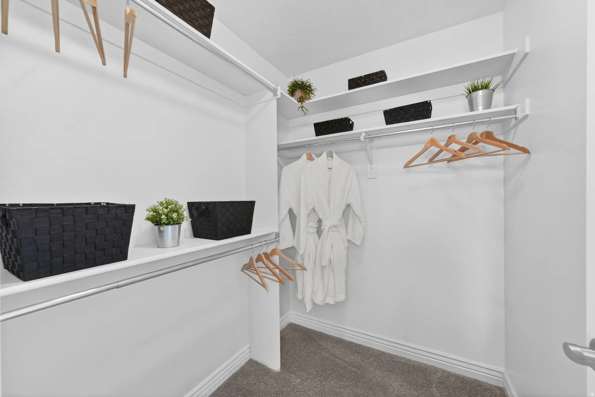 Spacious walk-in closet featuring multiple white shelving units, integrated hanging rods, and light gray carpet flooring