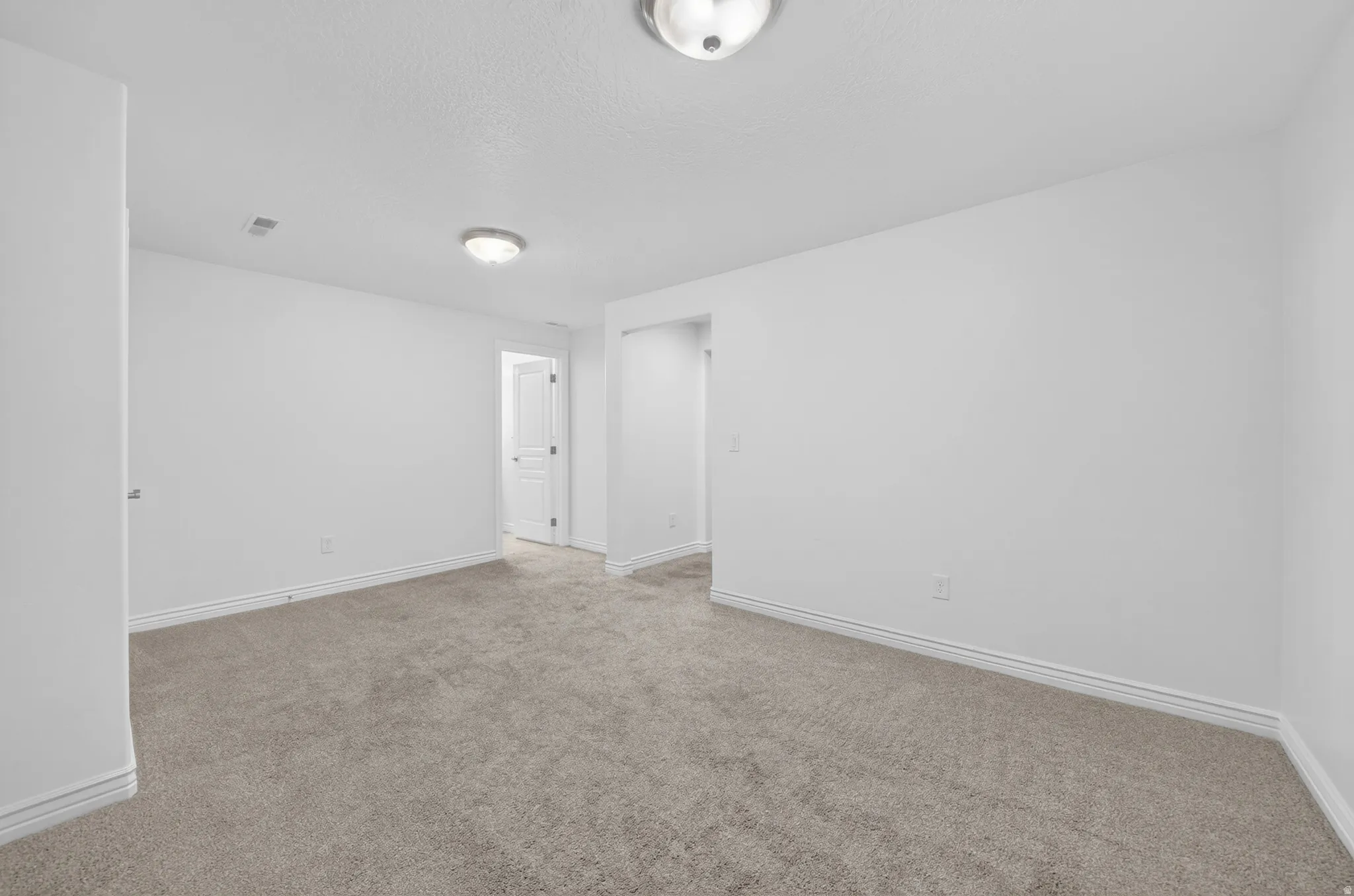 Neutral paint palette with textured carpeting and overhead lighting