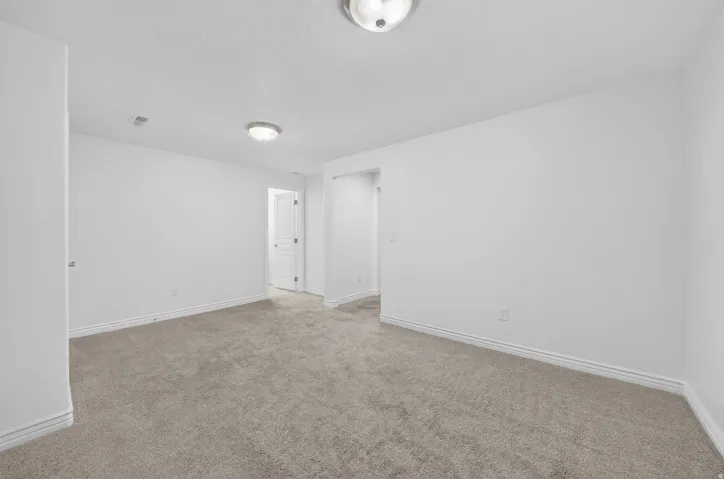 Neutral paint palette with textured carpeting and overhead lighting