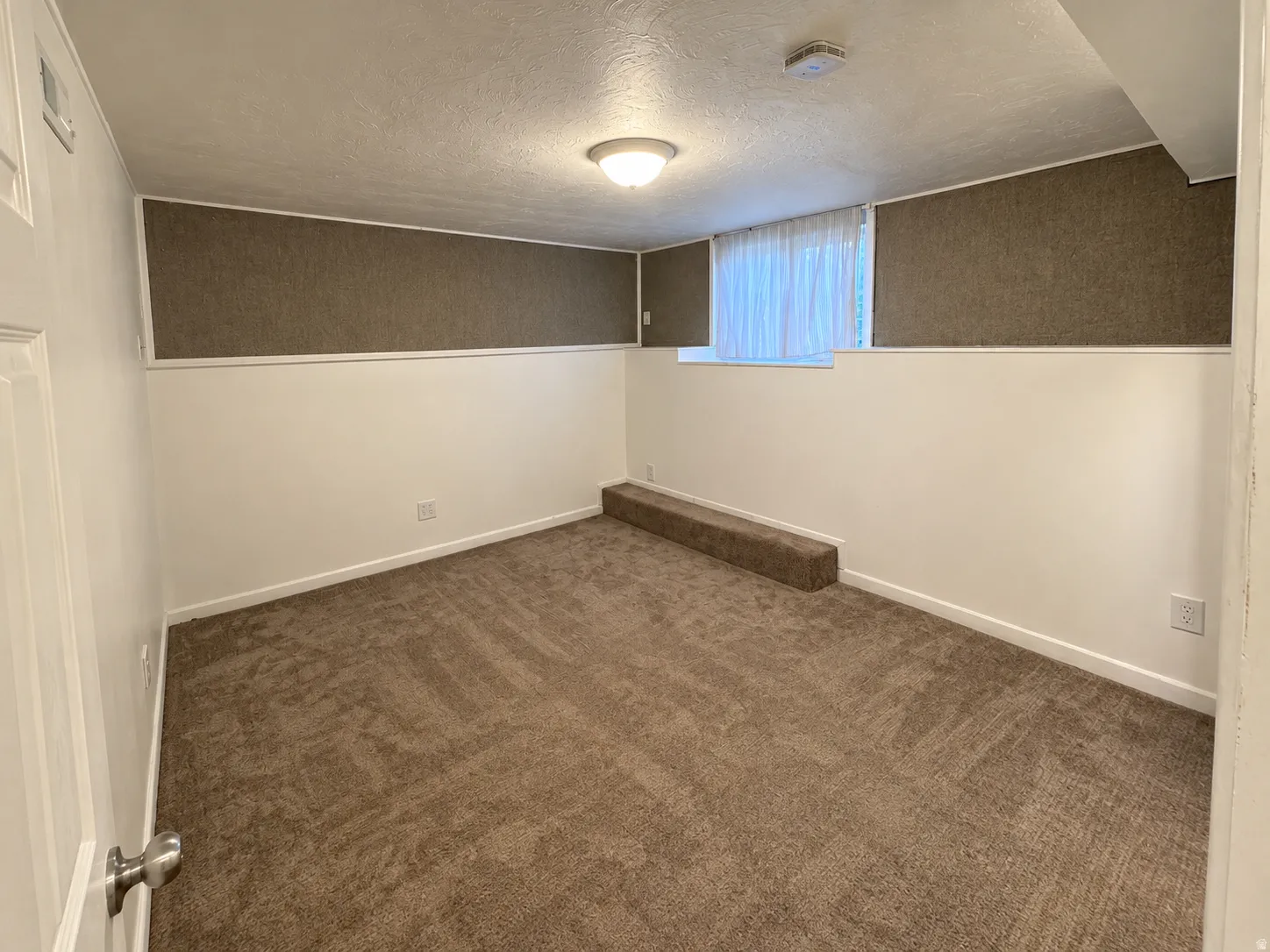 Carpeting throughout, neutral wall finishes, overhead lighting fixture, and a window with white window treatments