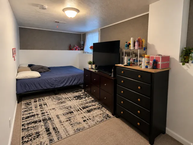 Carpeted room with a ceiling-mounted light fixture, half-height white wall paneling, and a single window with white blinds
