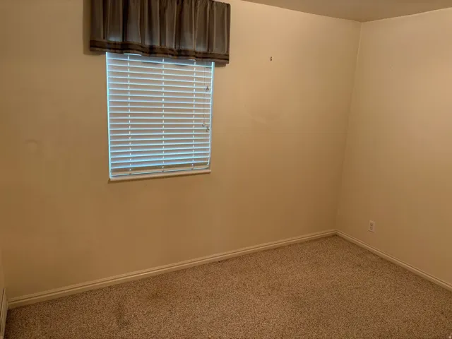 Window with horizontal blinds and valance, light-toned walls, and carpet flooring