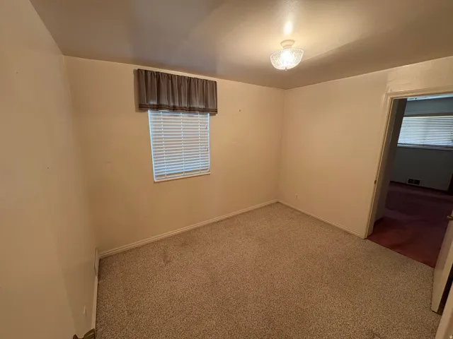 Carpeted room featuring a window with horizontal blinds and a privacy valance, and a ceiling-mounted light fixture