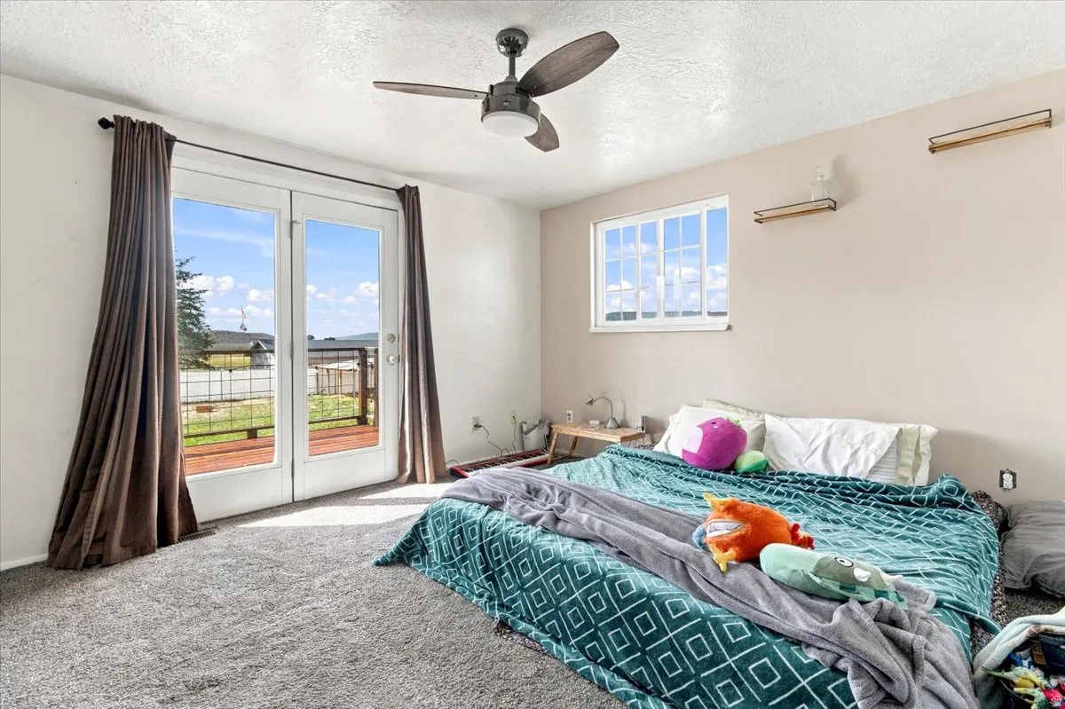 Glass panel French doors opening to a wood deck, ceiling fan with integrated lighting, window with horizontal muntins, wall-mounted shelving, and carpeted flooring