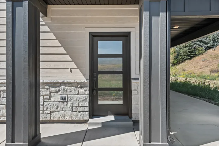 Contemporary entry door with frosted glass panels